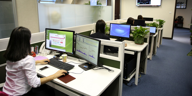 Support back-office et comptabilité légère